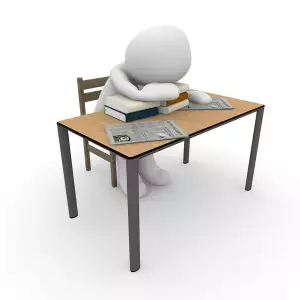 Sociální Práce Studium